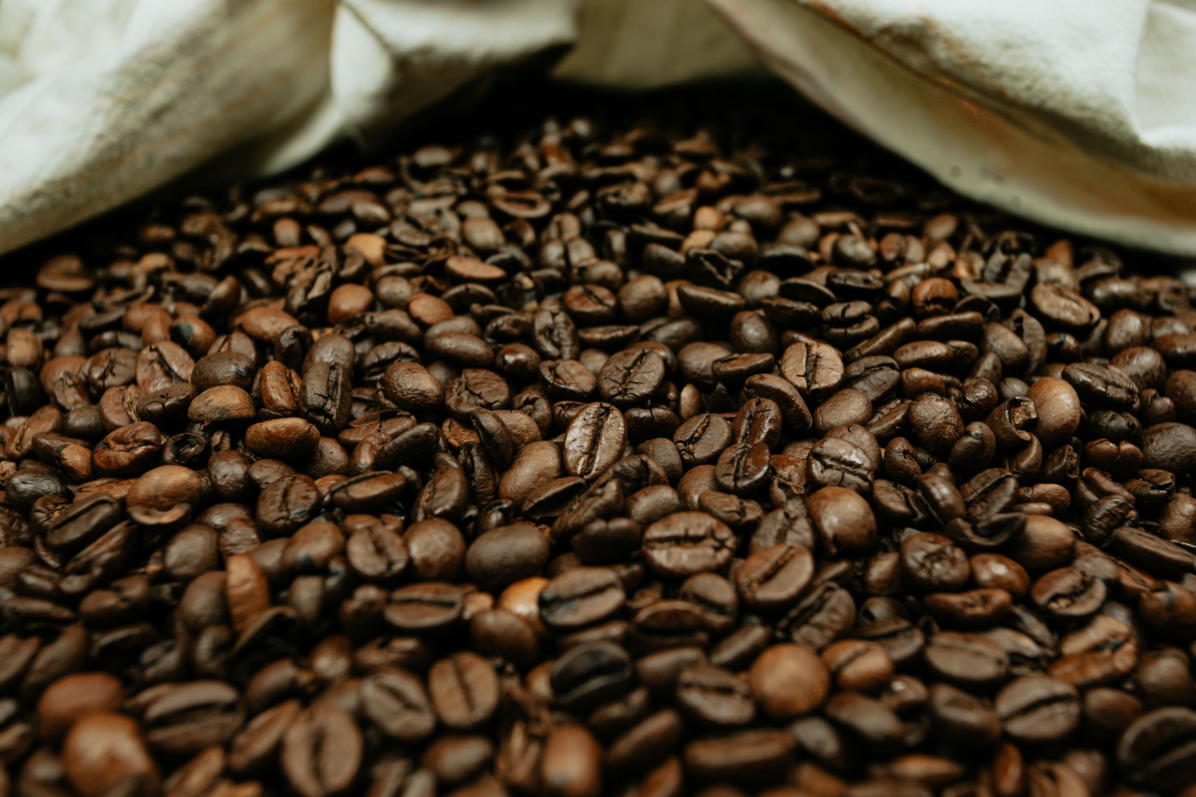 CAFÉ Y CACAO