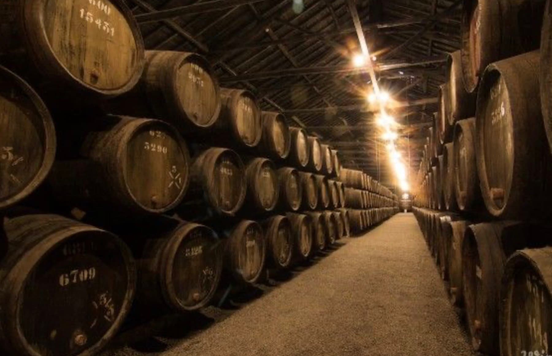Barricas almacenadas en maduración dentro de una bodega
